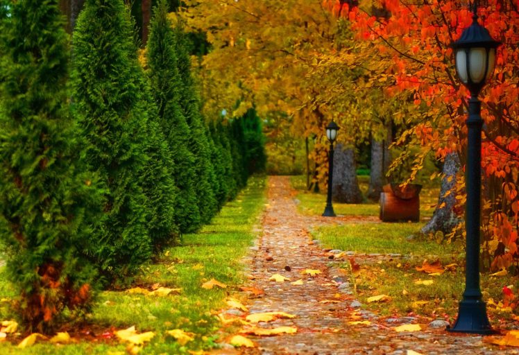 nature, Landscape, Autumn, Road, Trees, Lantern, Leaf HD Wallpaper Desktop Background