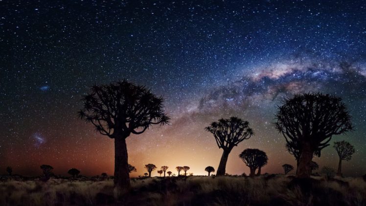 trees, Galaxy, Milky, Way, Stars, Sky, Desert HD Wallpaper Desktop Background