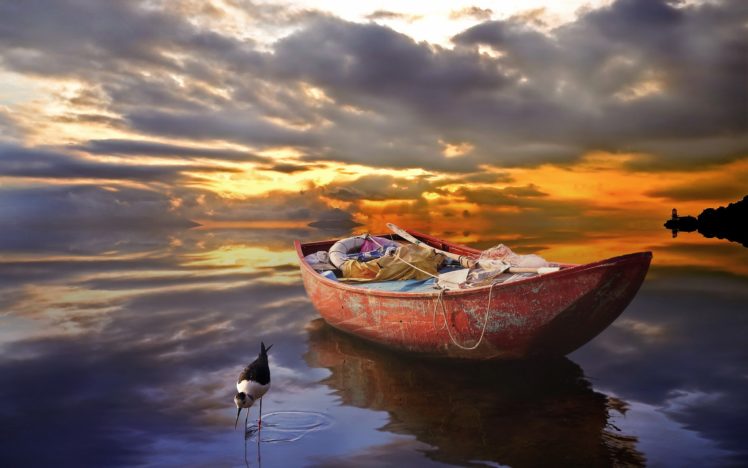 boat, Reflection, Lake, Sunset, Clouds, Bird HD Wallpaper Desktop Background