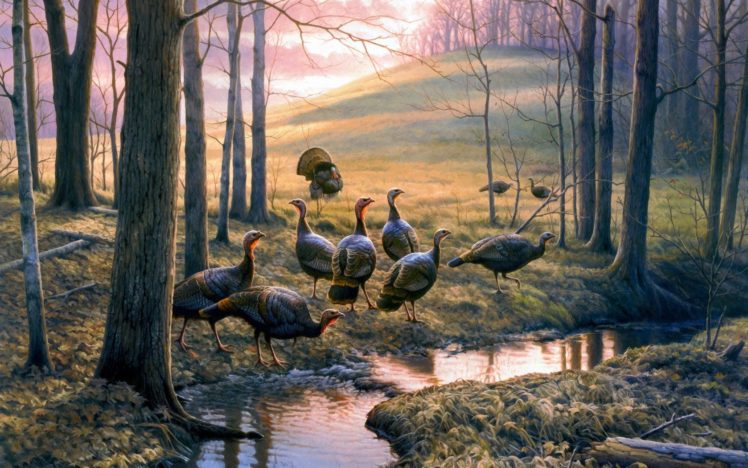 autumn, Leaves, Painting, Forest, Creek, Turkeys, Hil HD Wallpaper Desktop Background