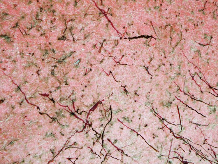 art, Colors, Creation, Digital, Materiaux, Nature, Texture, Webmaster HD Wallpaper Desktop Background