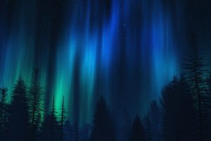 aurora, Borealis, Blue, Green, Trees