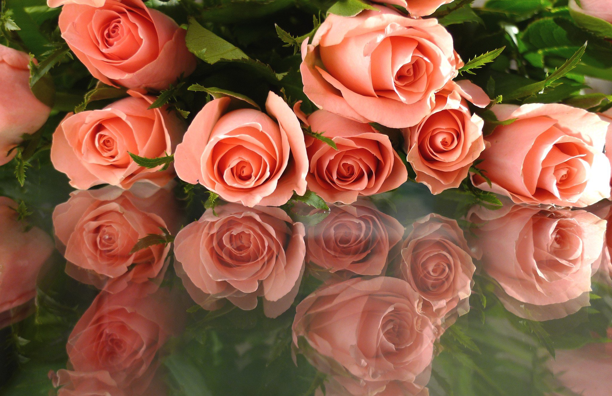 открытка с розами фото красивейшие