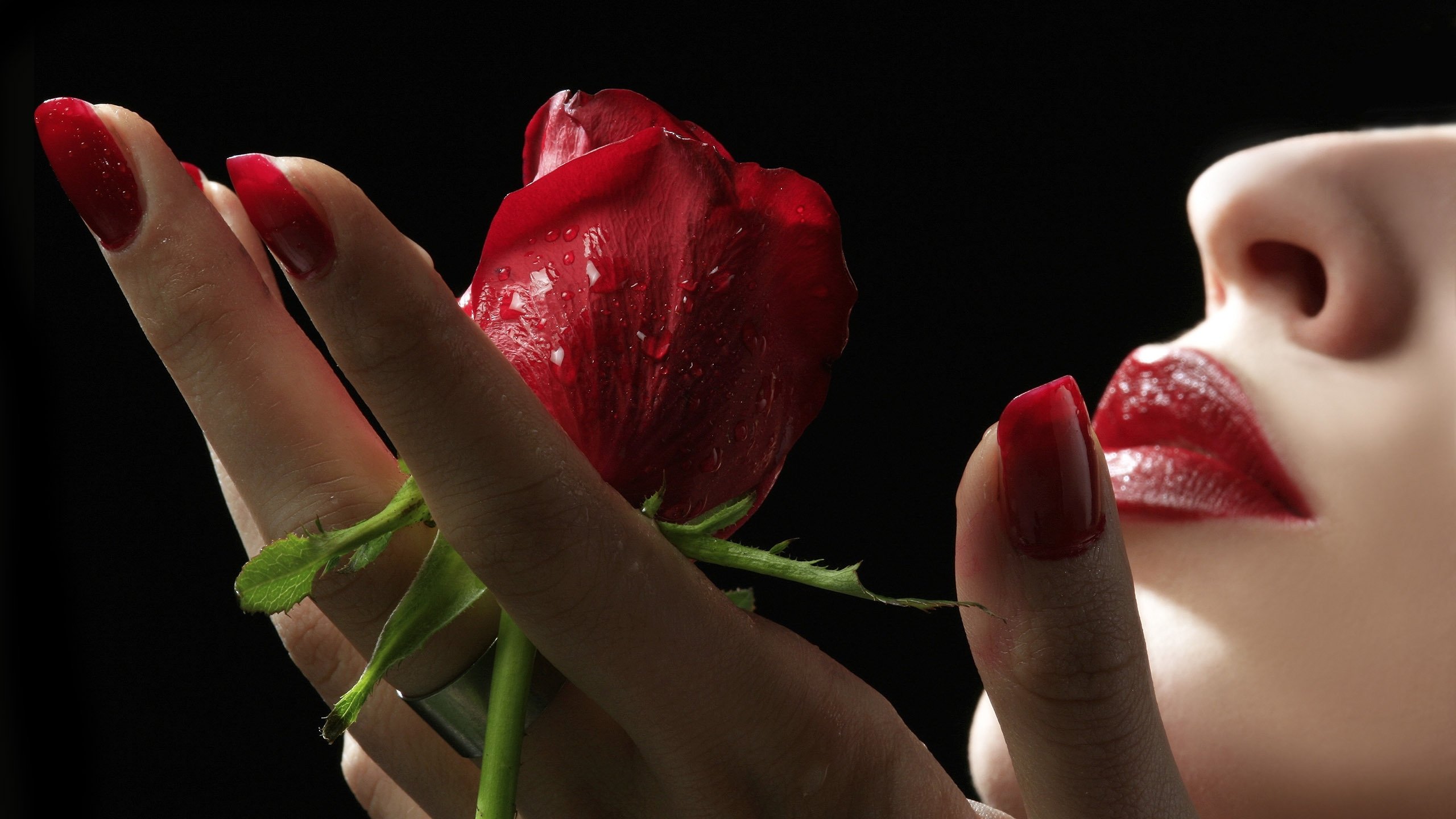 flower, Rose, Girl, Black, Background, Red, Lipstick Wallpaper