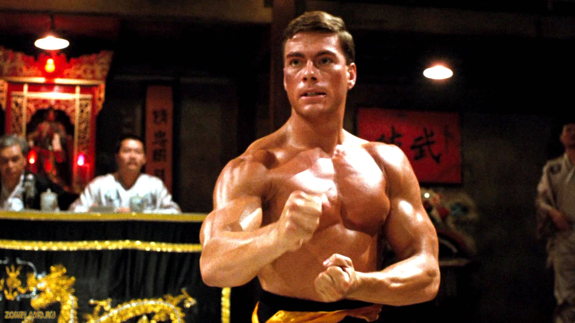 bloodsport, Martial, Arts, Fighting, Action, Biography, Drama Wallpapers HD...
