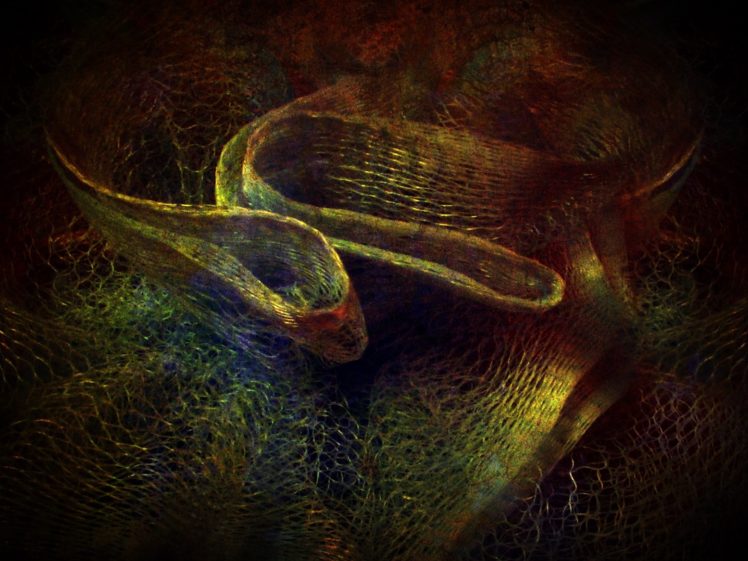 art, Colors, Creation, Digital, Materiaux, Nature, Texture, Webmaster HD Wallpaper Desktop Background