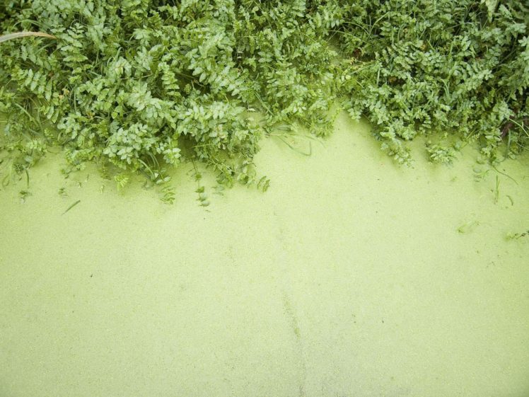 art, Colors, Creation, Digital, Materiaux, Nature, Texture, Webmaster HD Wallpaper Desktop Background