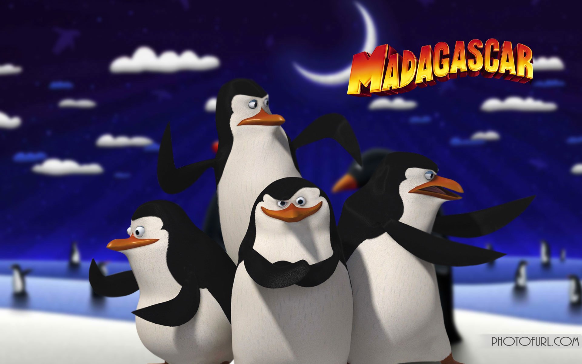 penguins, Of, Madagascar, Animation, Comedy, Adventure, Family, Penguin, Cartoon Wallpaper