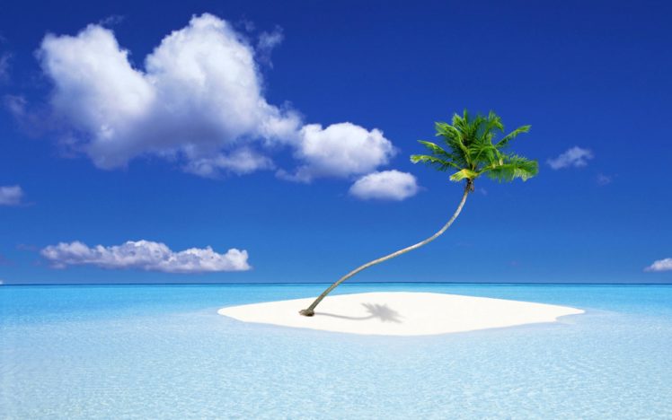 a, Palm, Tree, Island HD Wallpaper Desktop Background