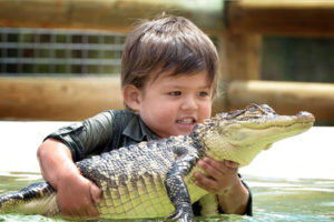 australia, Charlie, Alligator, Children, Babies, Crocodile