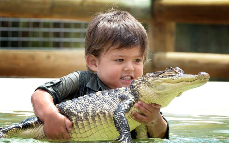 australia, Charlie, Alligator, Children, Babies, Crocodile HD Wallpaper Desktop Background