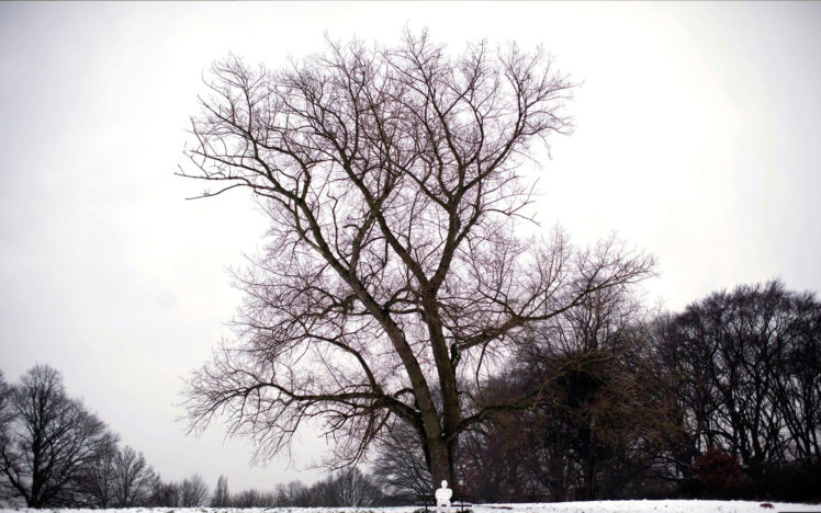 tree, Mood, Winter, Sky HD Wallpaper Desktop Background