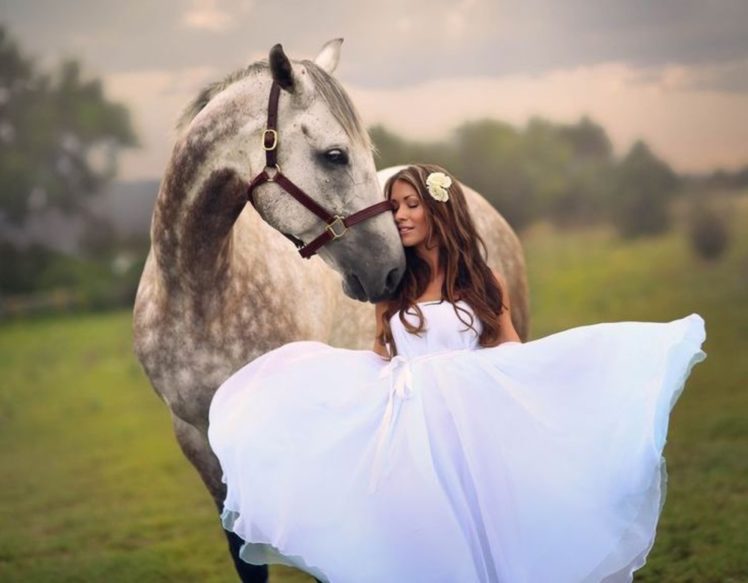 white, Horse, Friendship, Pure, Feeling, Bride, Princess, Wedding HD Wallpaper Desktop Background