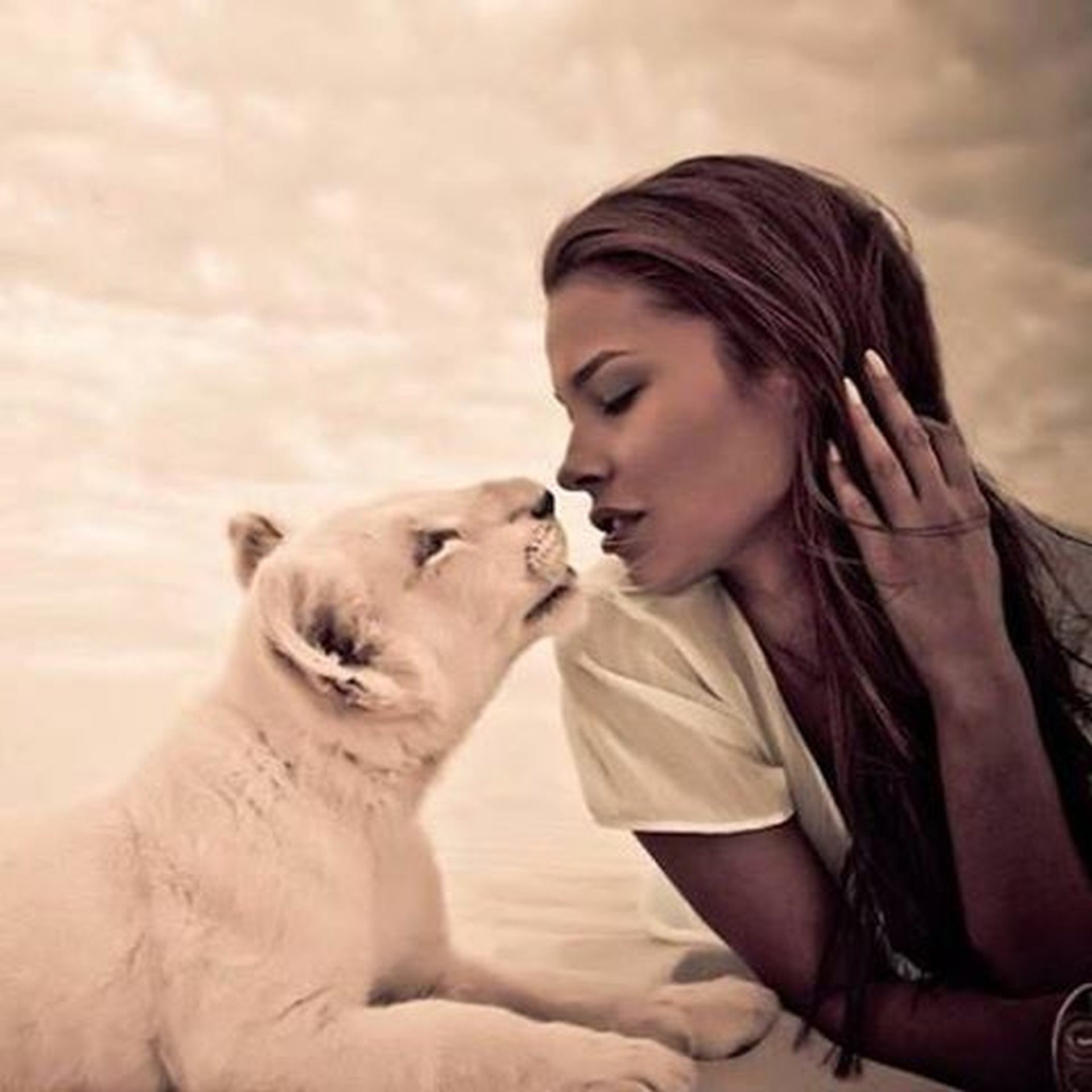 cat, Sand, Girl, Kiss Wallpaper