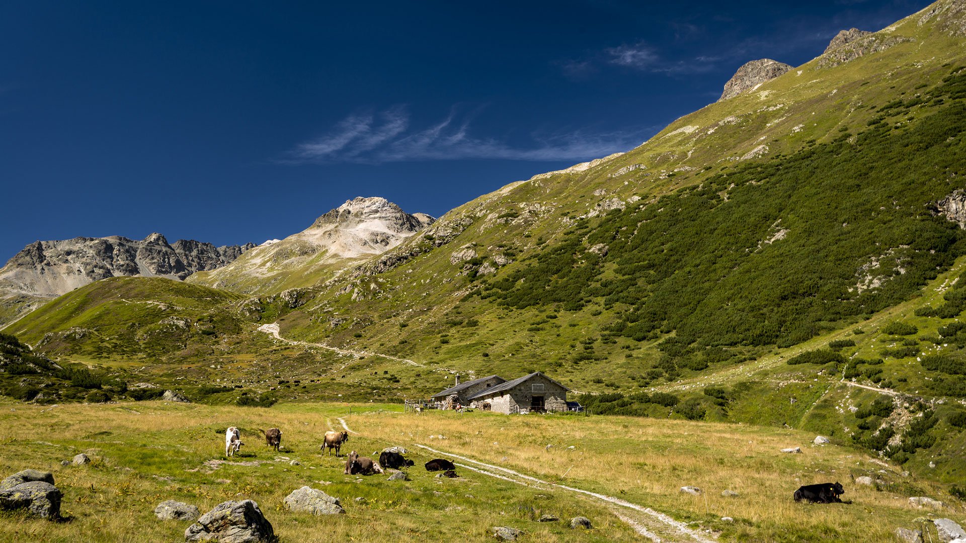 mountains, Nature, Wild, Sky, Blue, Snow, High Wallpaper
