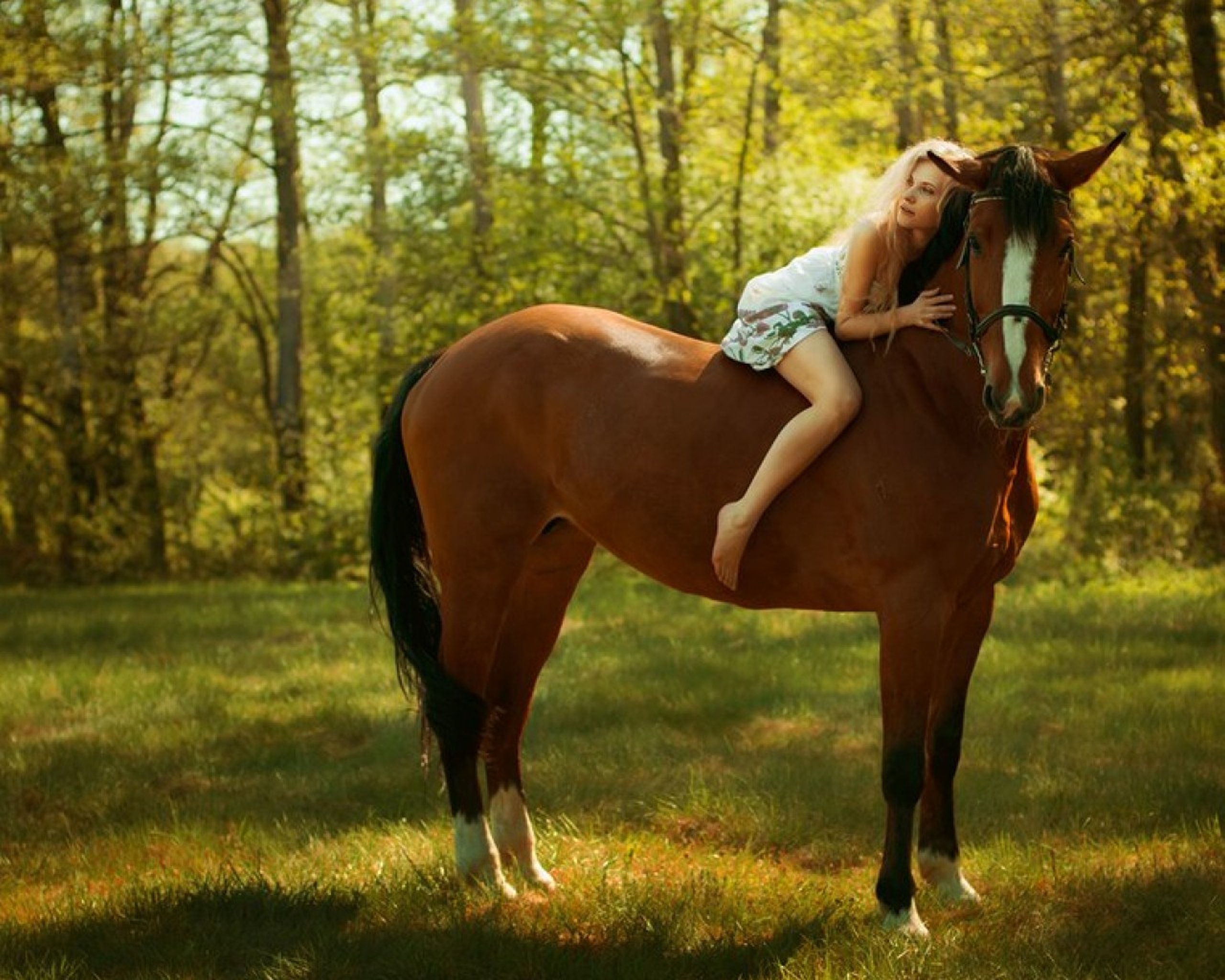Download hd wallpapers of 479453-horse, Beauty, Friends, Beautiful, Lady, H...