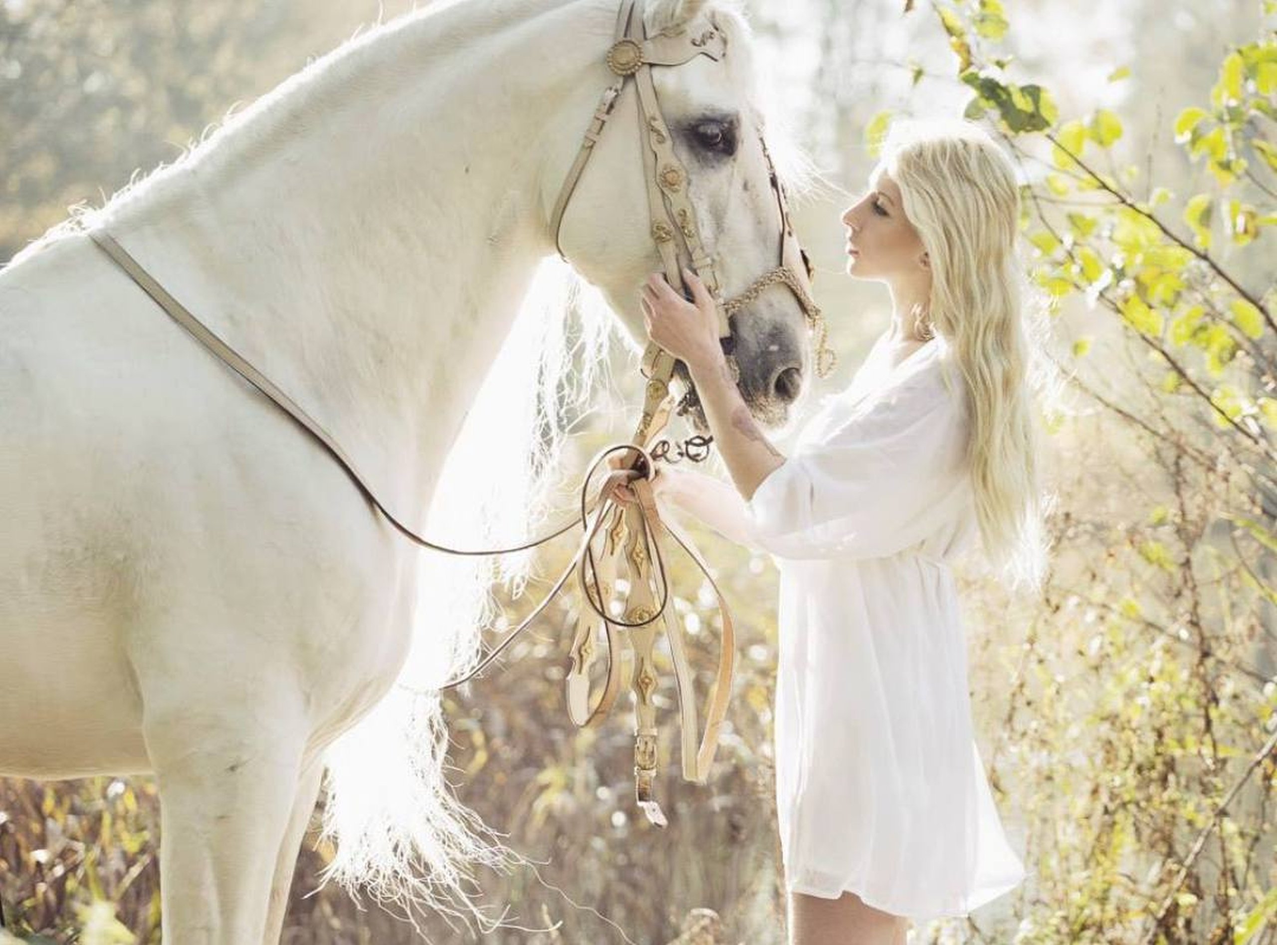 friend, Model, Horse, Lady Wallpaper