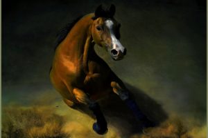 brown, Abstrtact, Horse, Animal