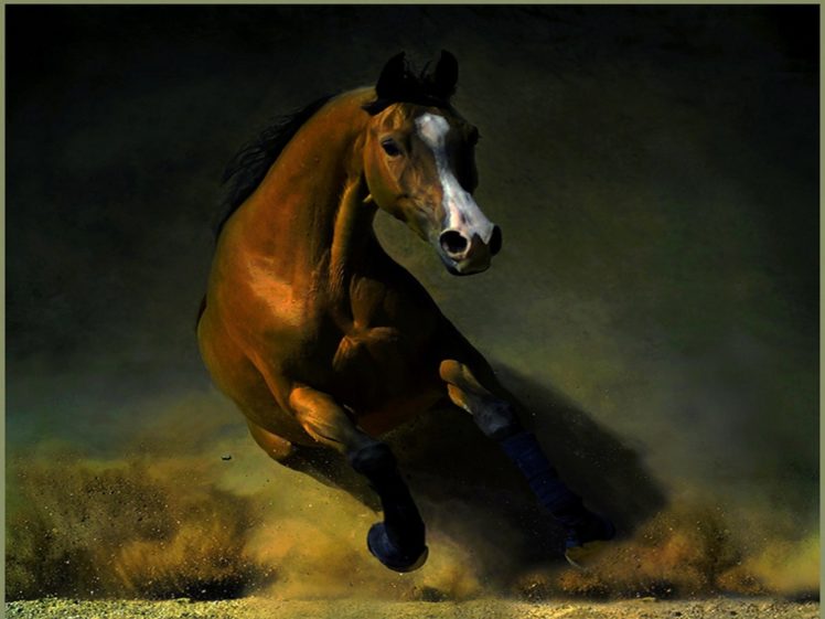 brown, Abstrtact, Horse, Animal HD Wallpaper Desktop Background