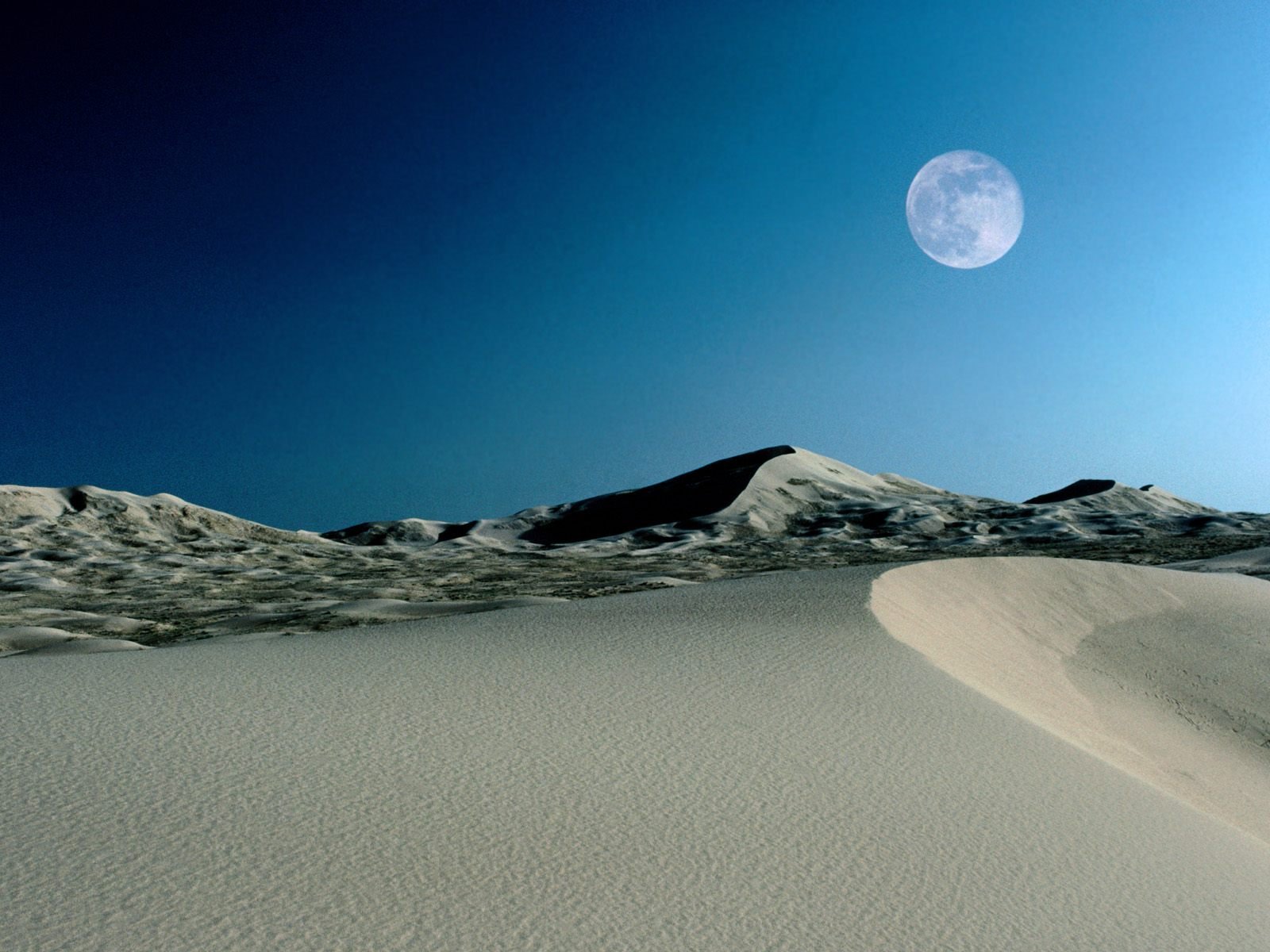 nature Wallpaper