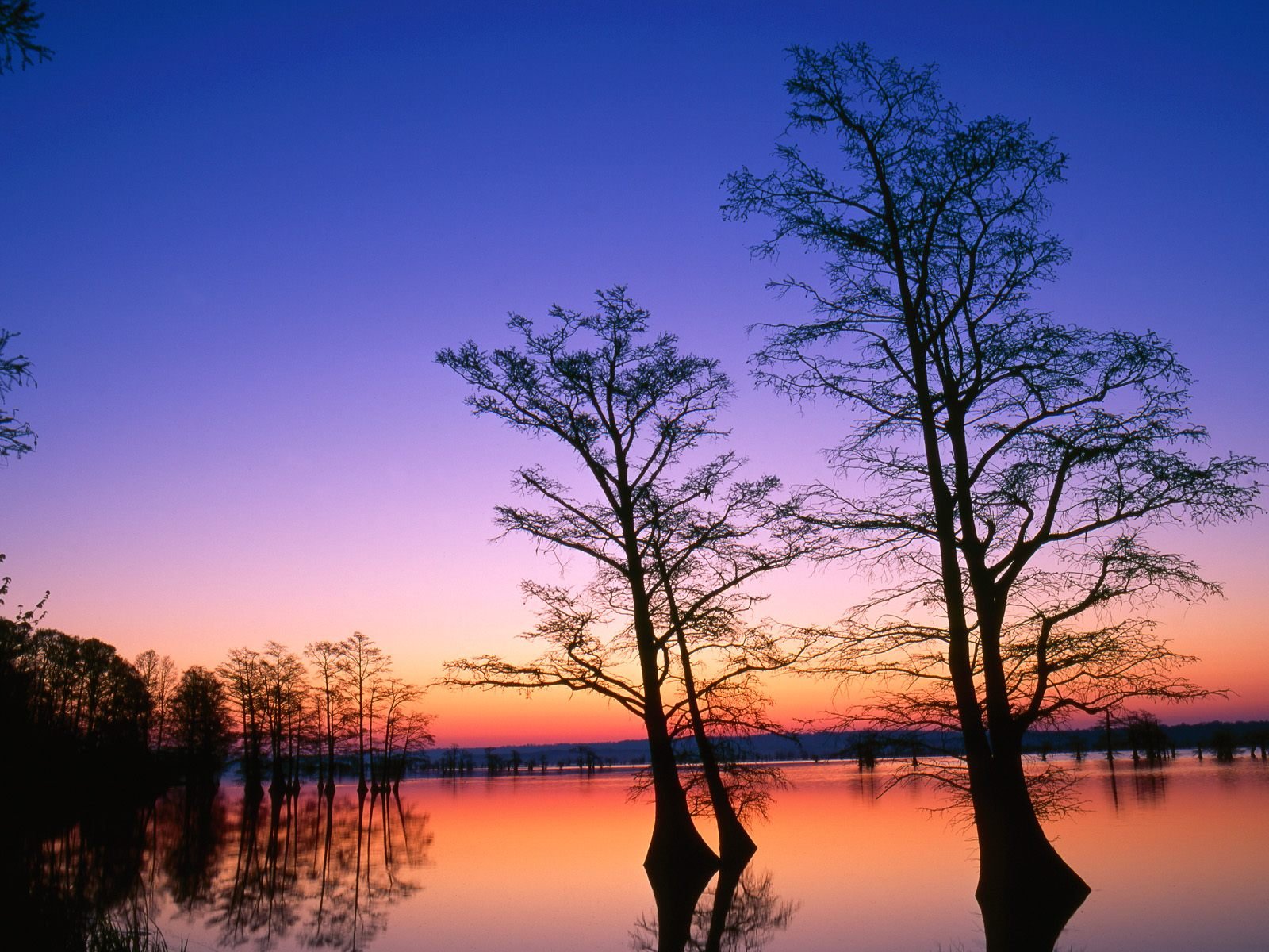 nature Wallpaper