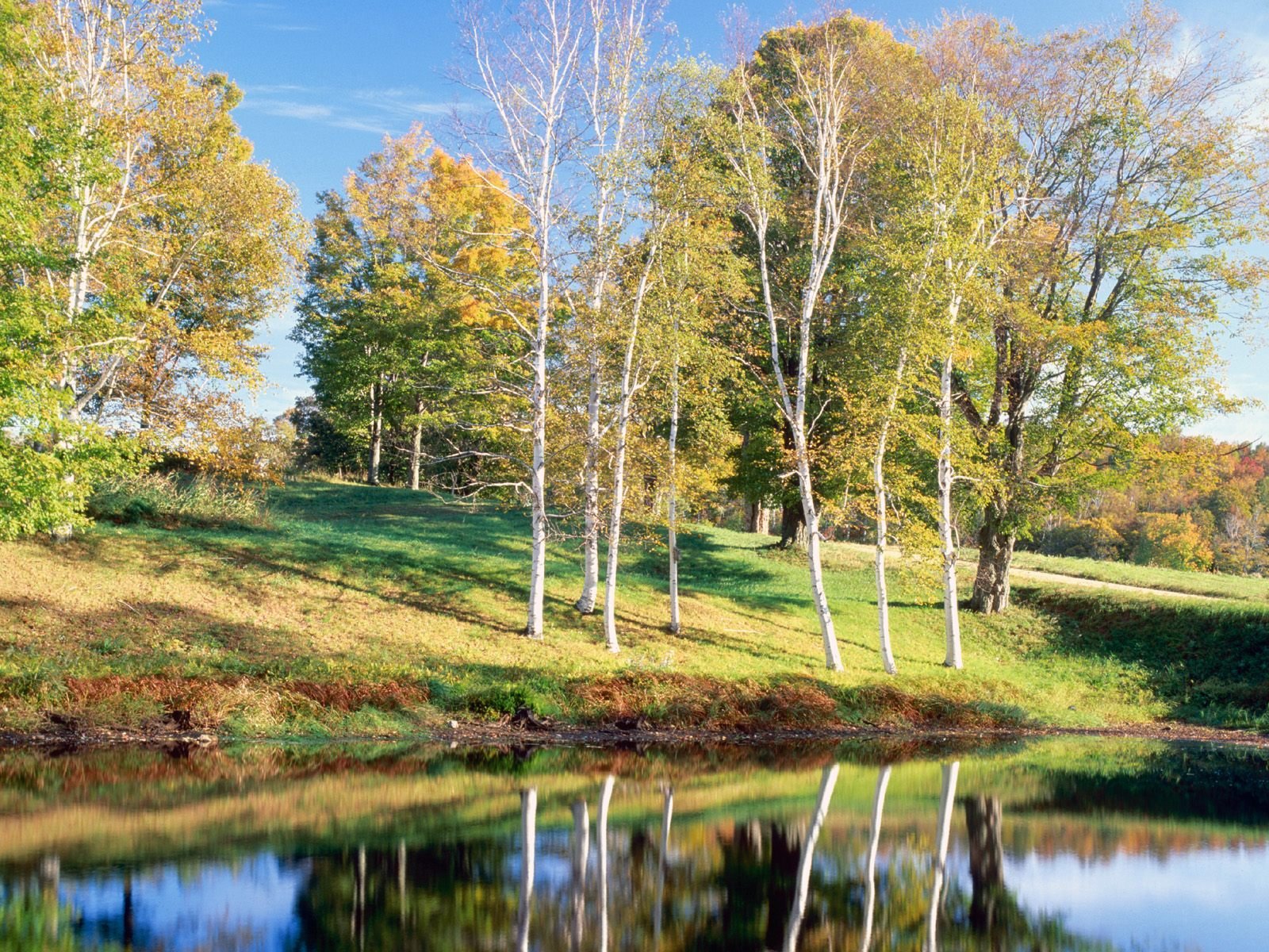 nature Wallpaper