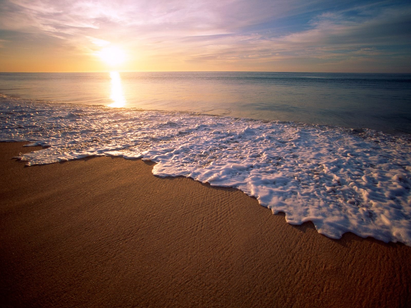 nature Wallpaper