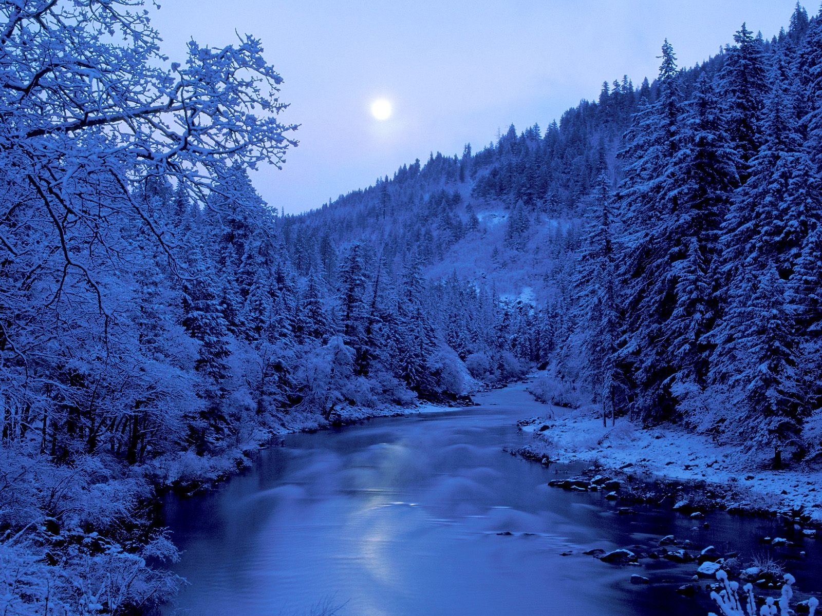 nature Wallpaper