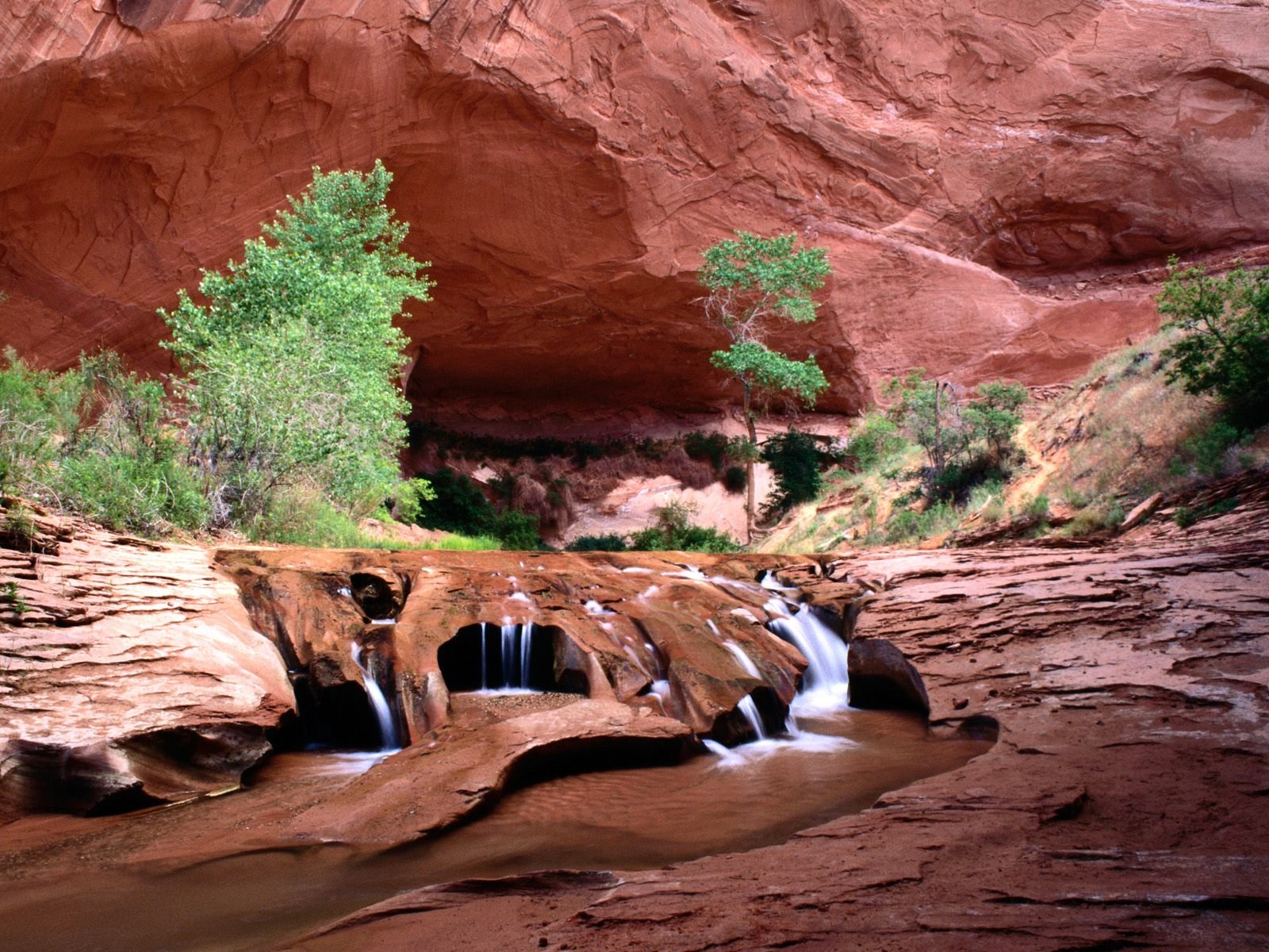 nature Wallpaper