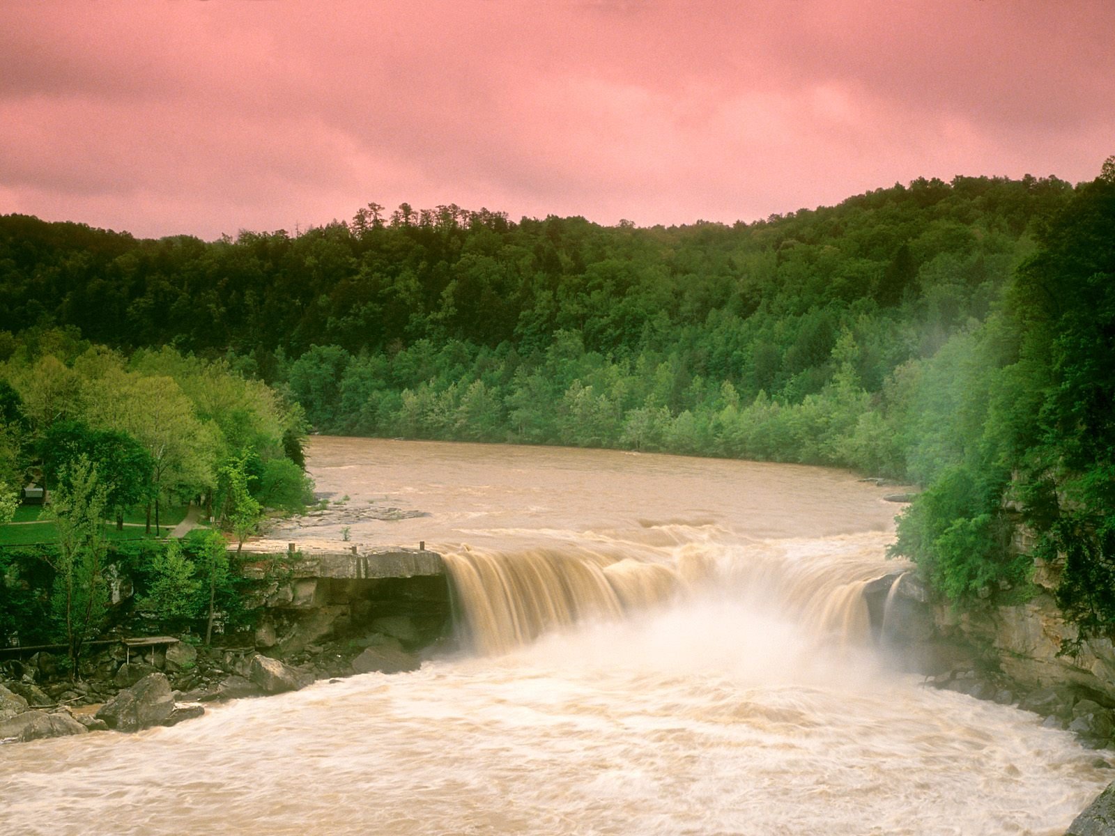 nature Wallpaper