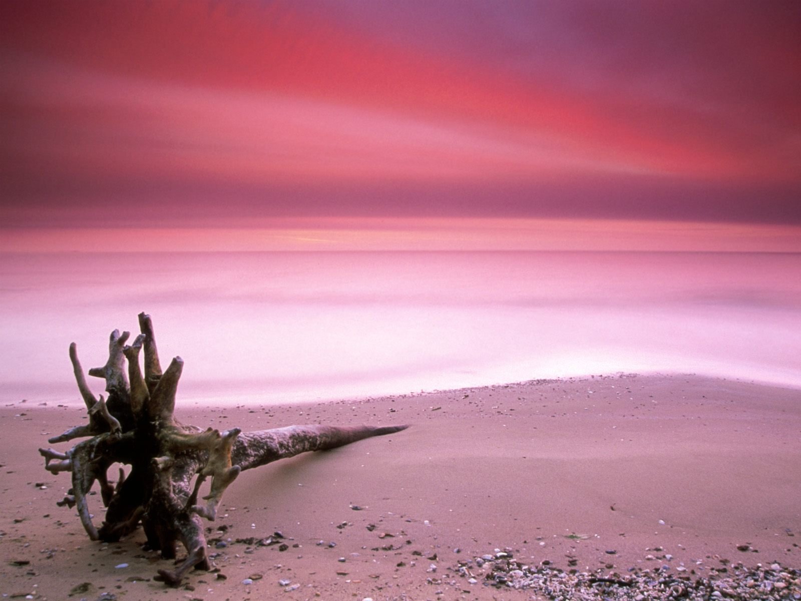 nature Wallpaper
