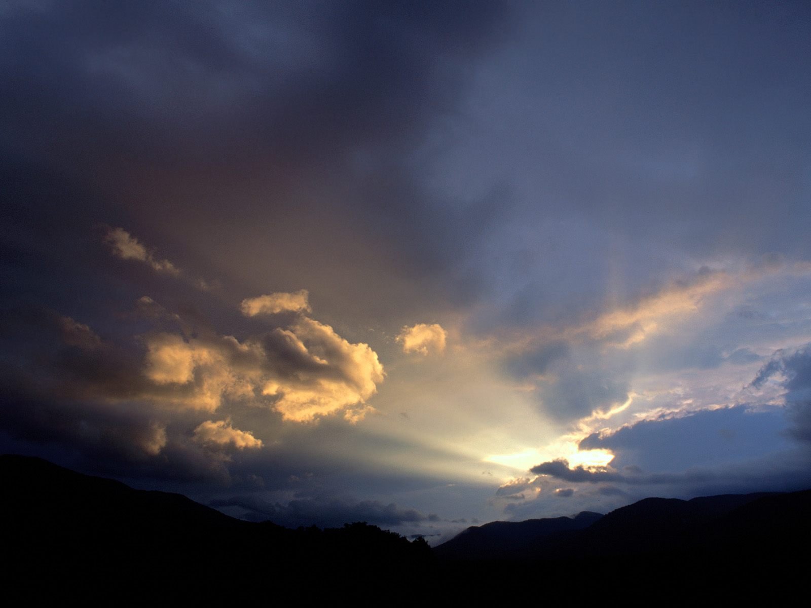 nature Wallpaper