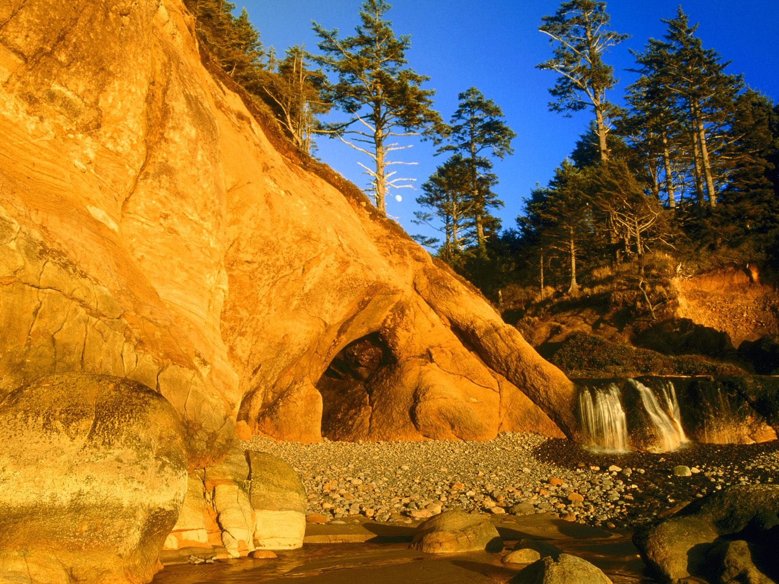 nature Wallpaper