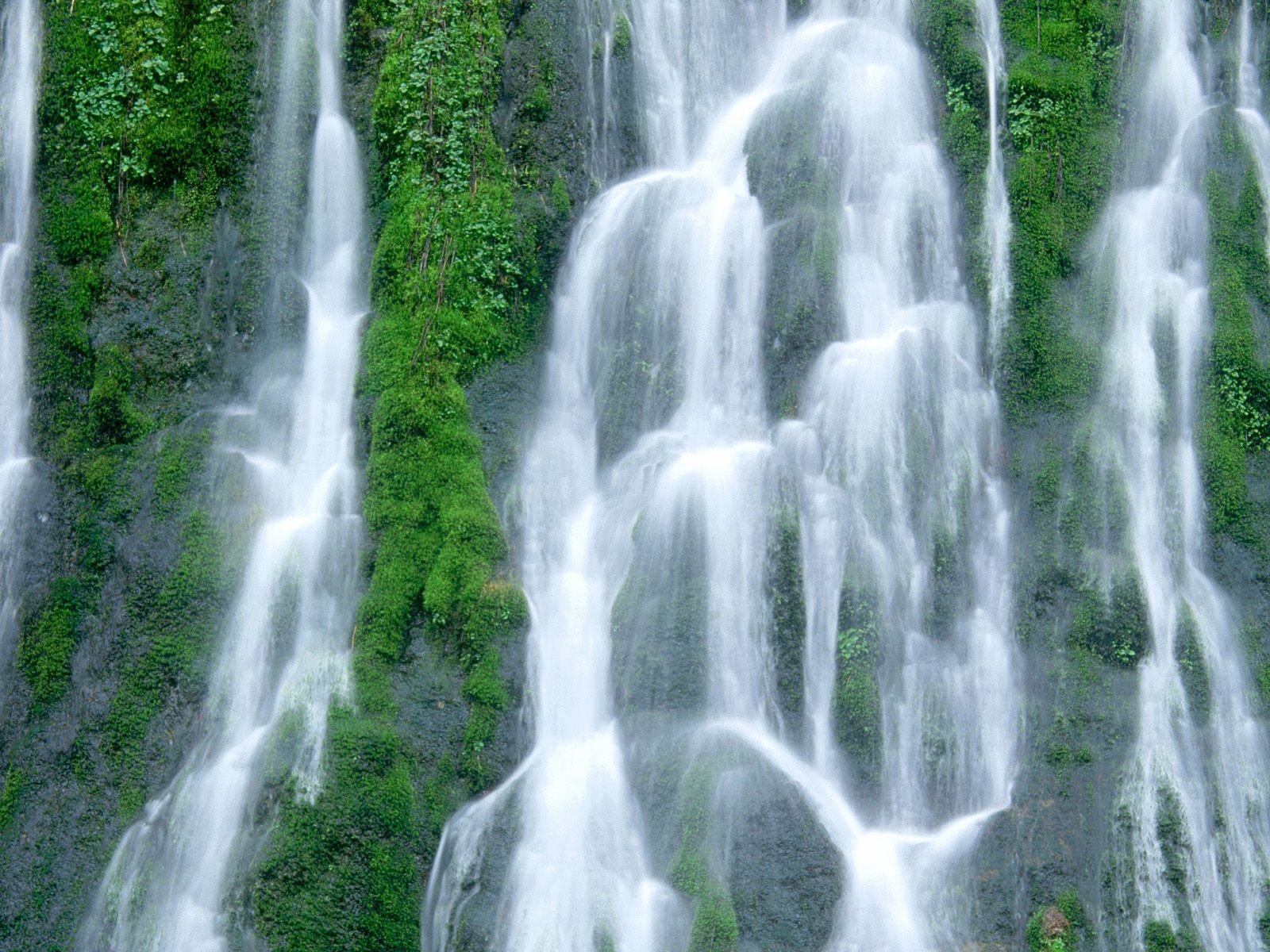 nature Wallpaper