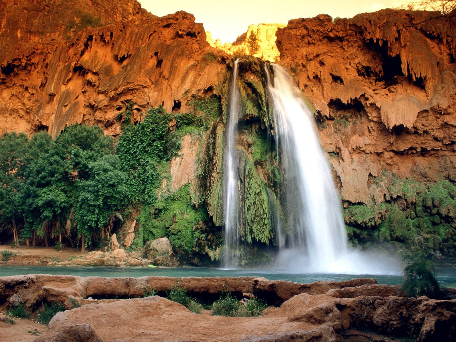 nature Wallpaper