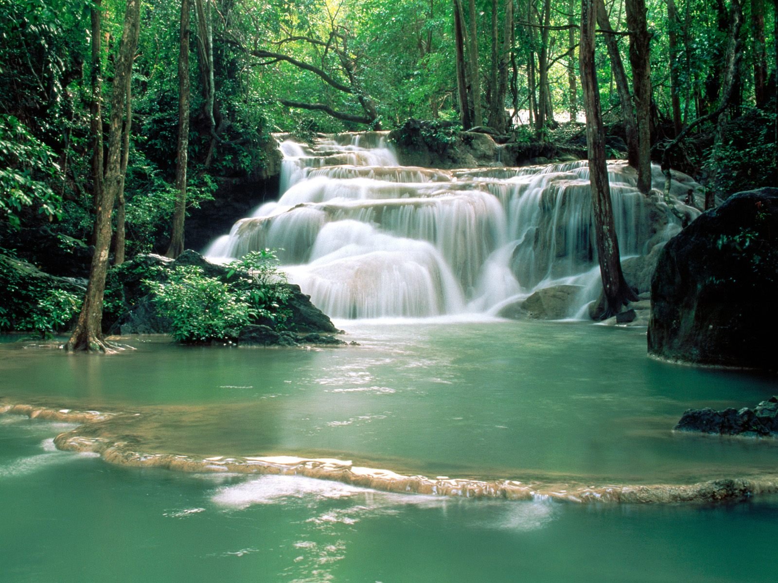 nature Wallpaper
