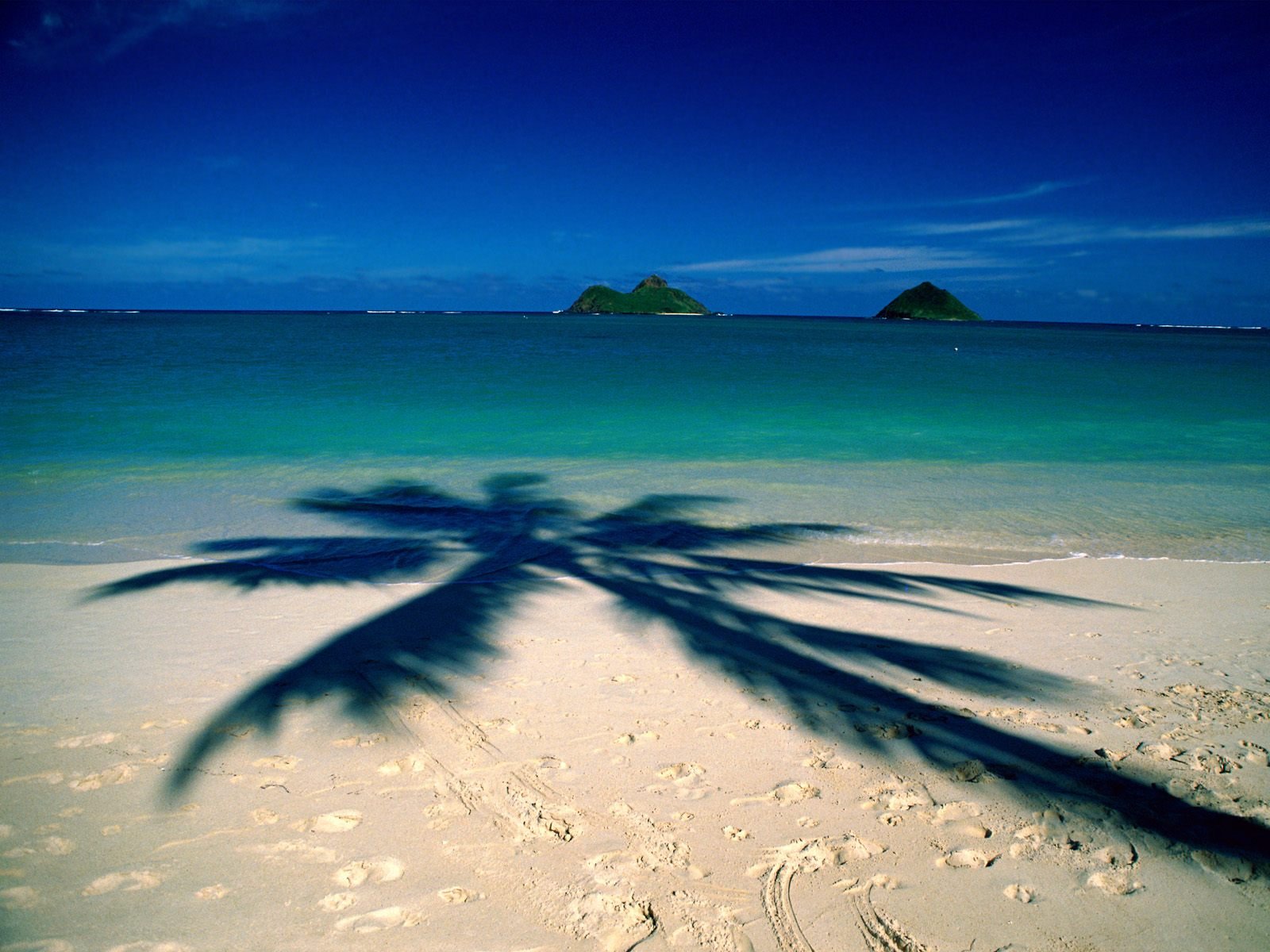 nature Wallpaper