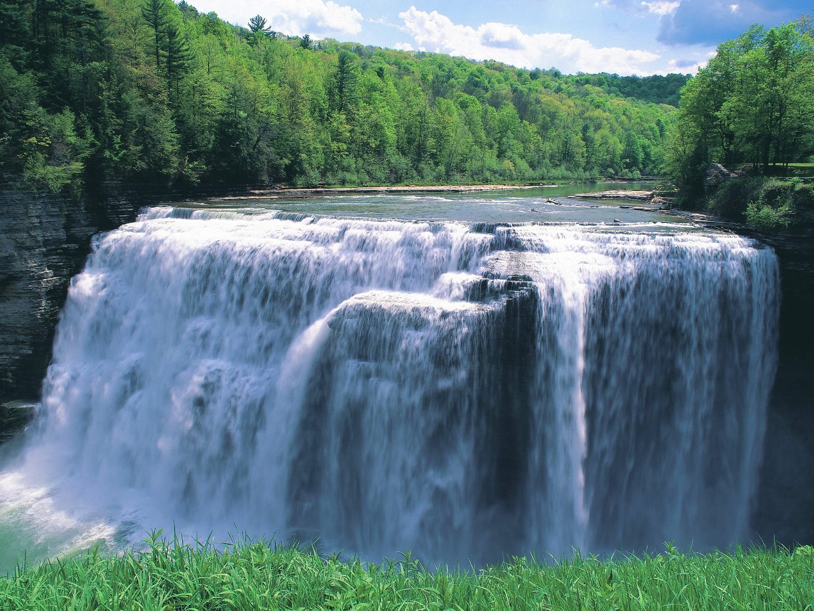 nature Wallpaper