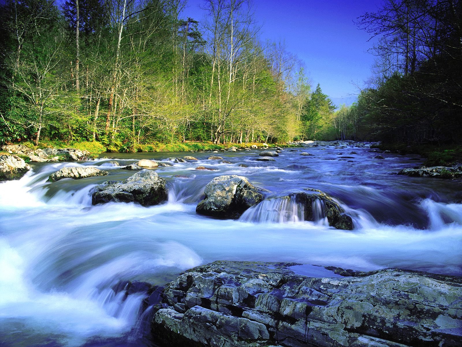 nature Wallpaper
