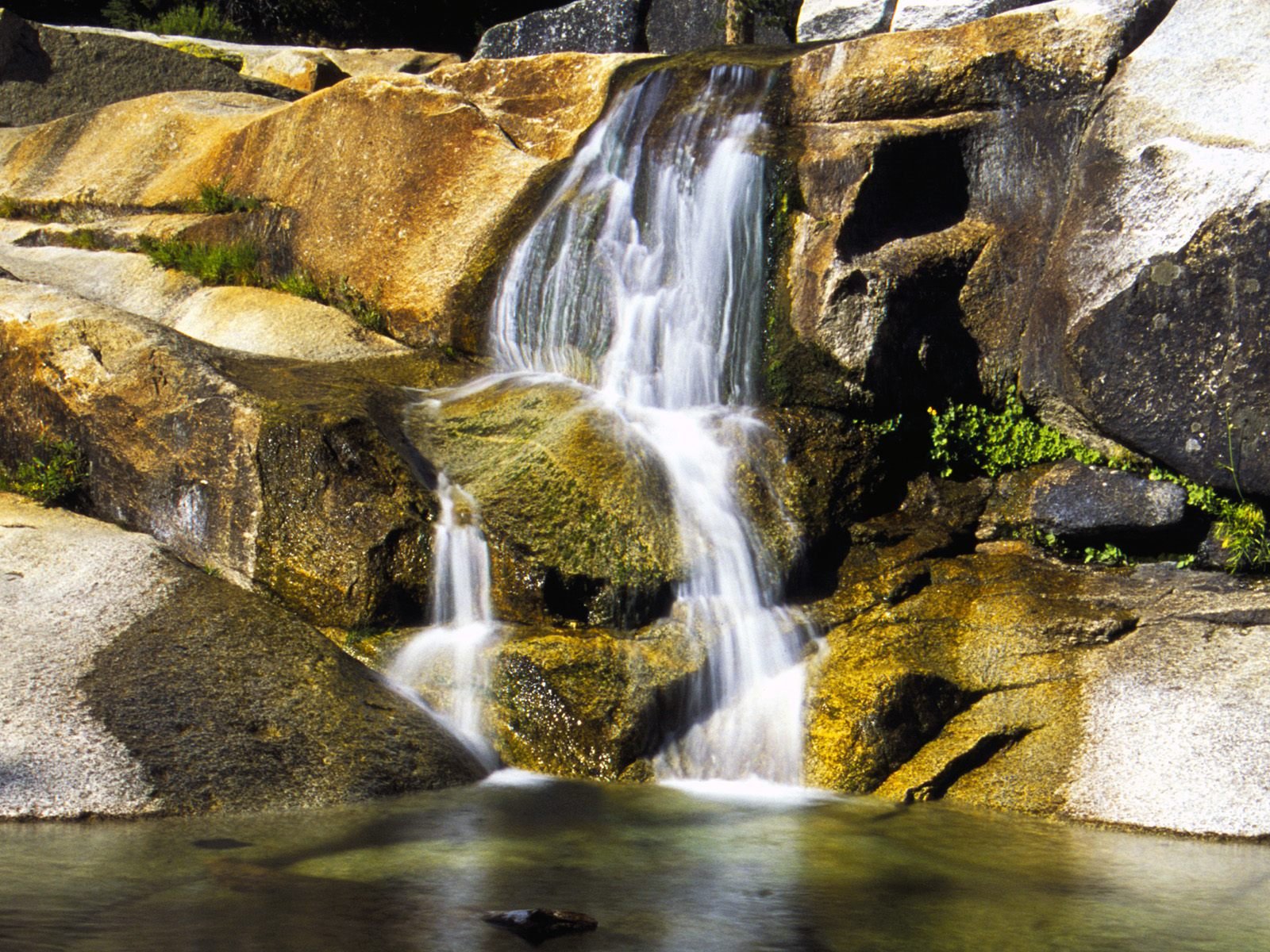 nature Wallpaper