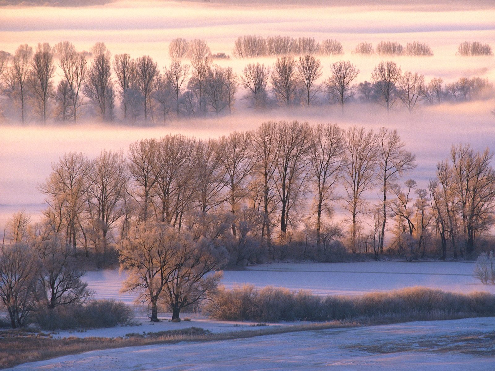 nature Wallpaper