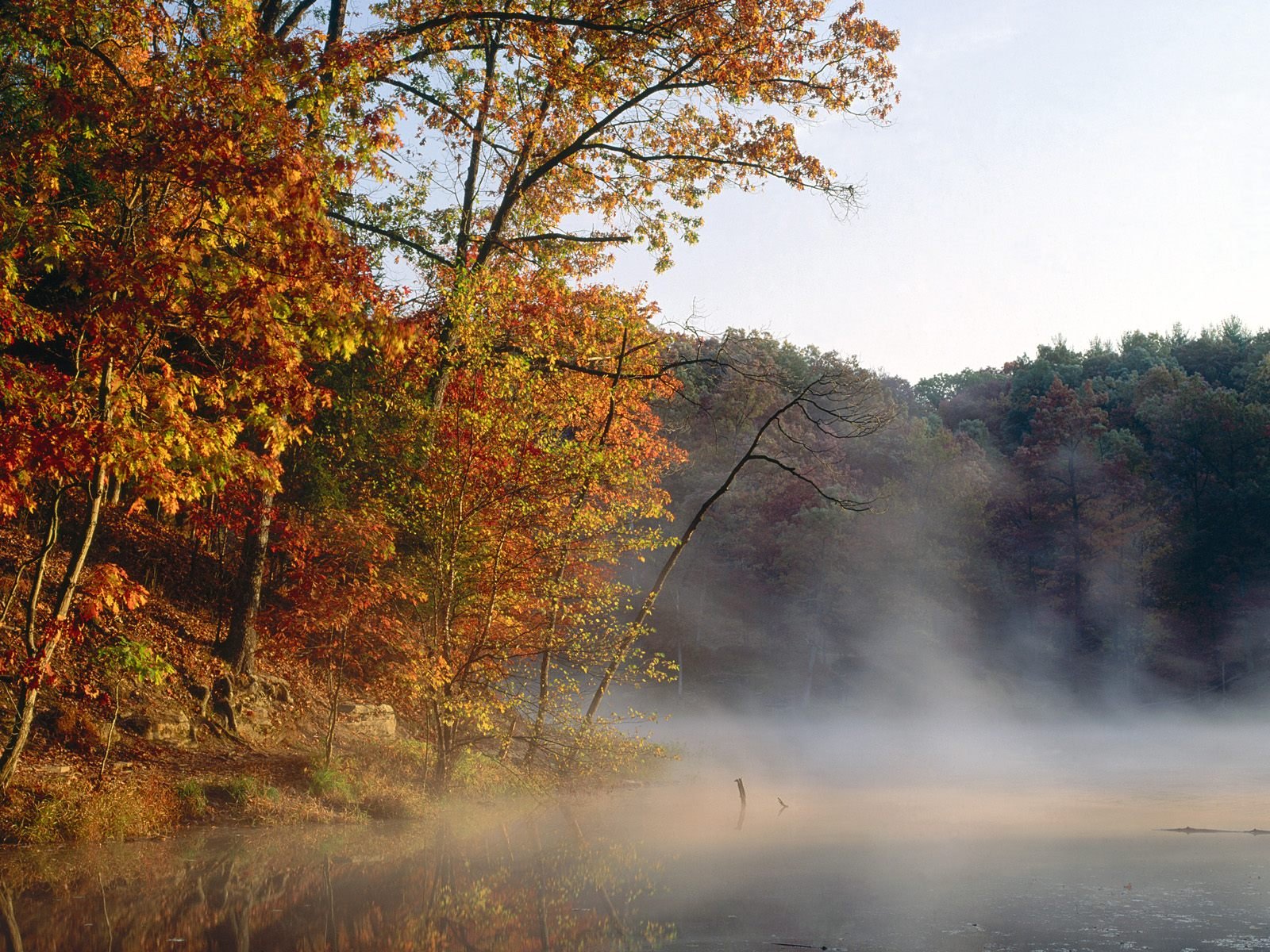 nature Wallpaper