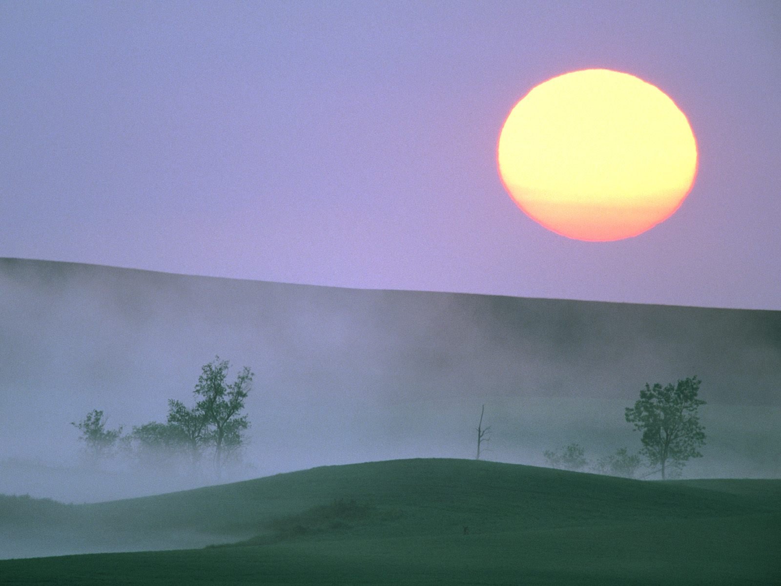nature Wallpaper