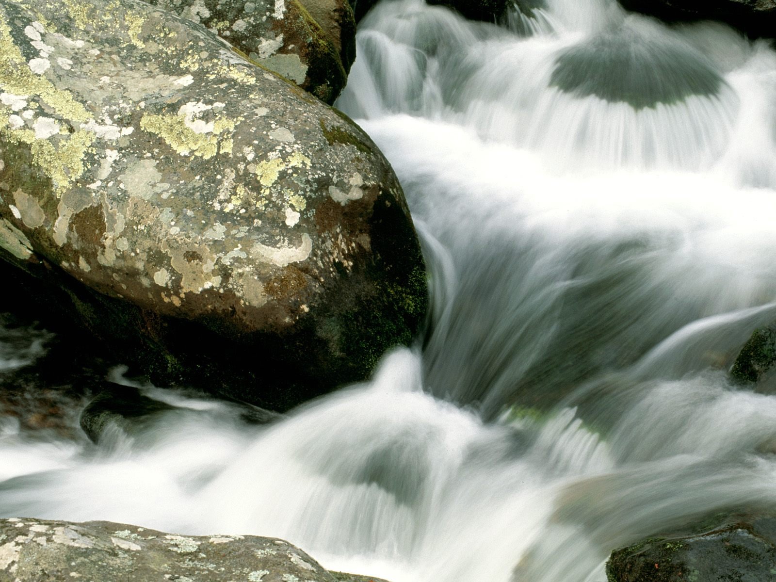 nature Wallpaper
