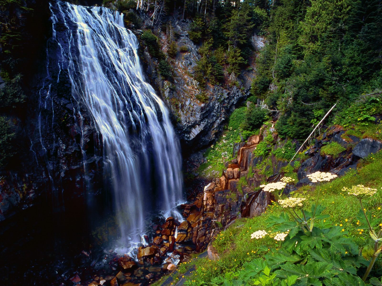 nature Wallpaper