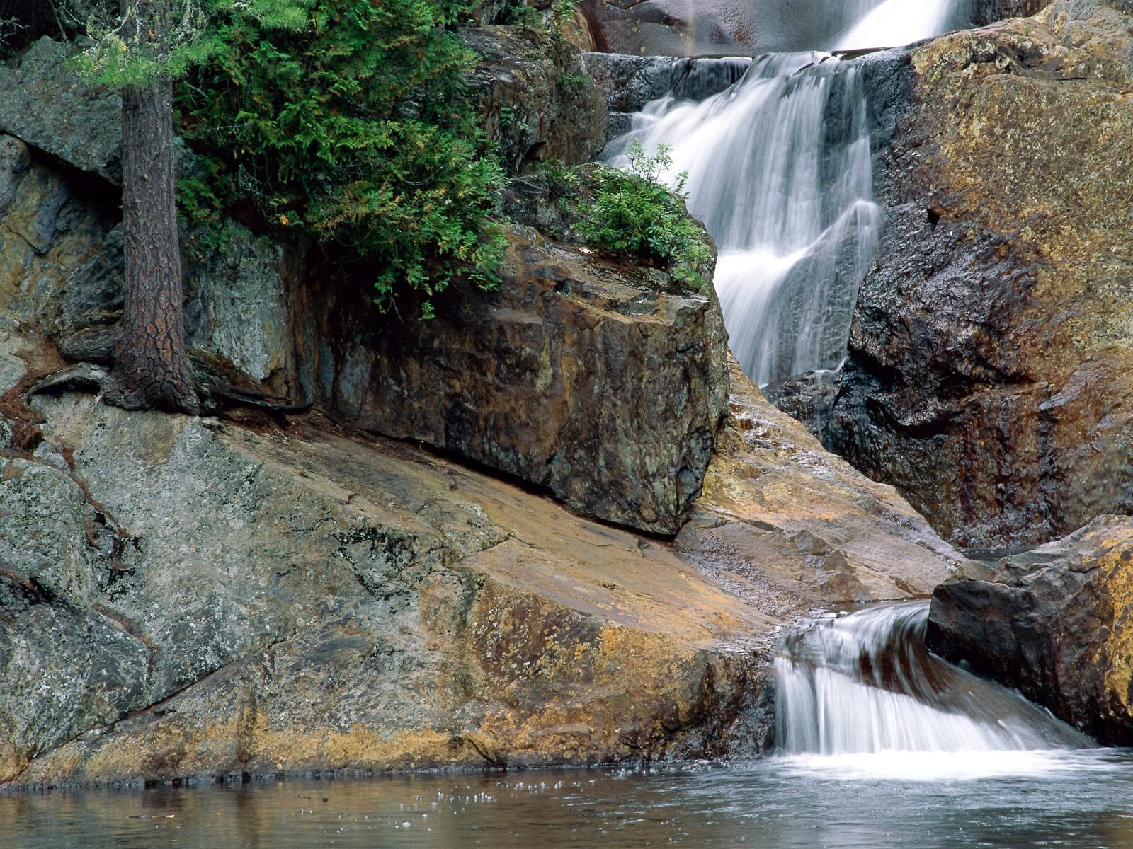 nature Wallpaper