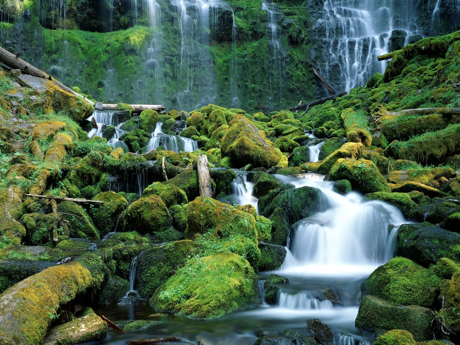 nature Wallpaper