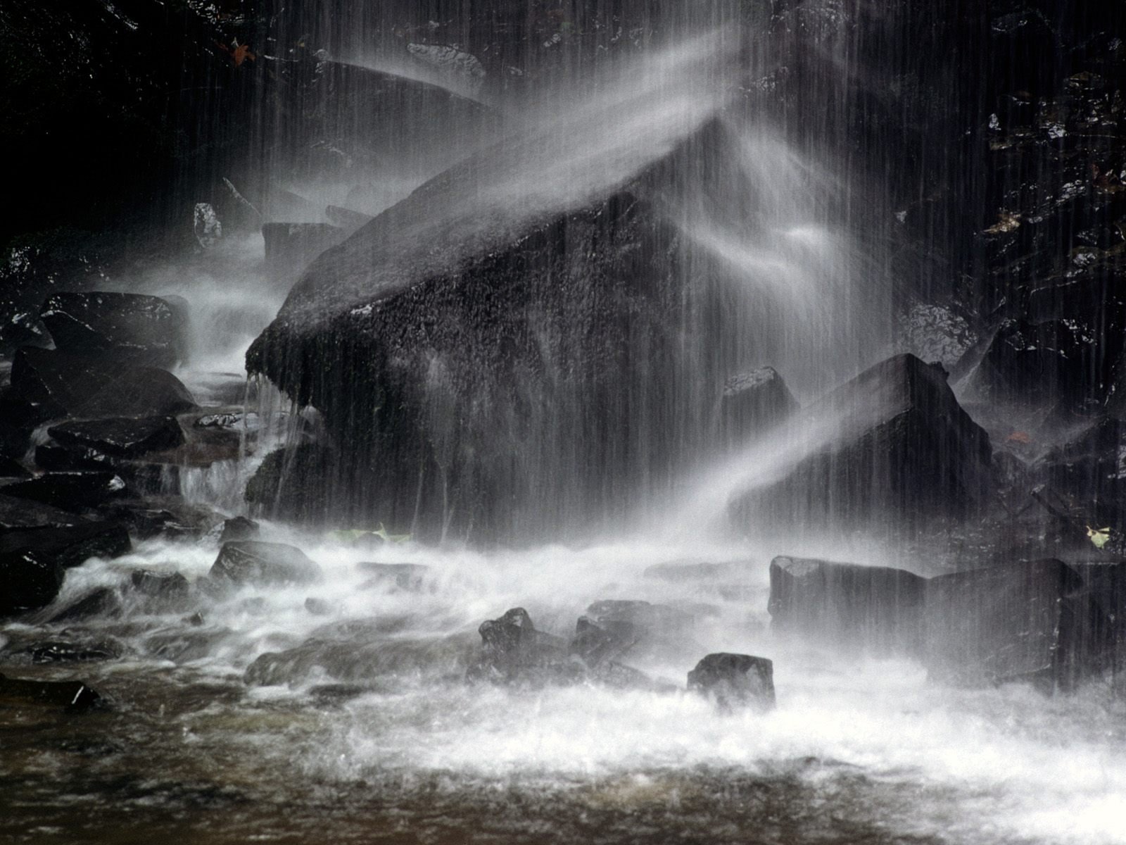nature Wallpaper