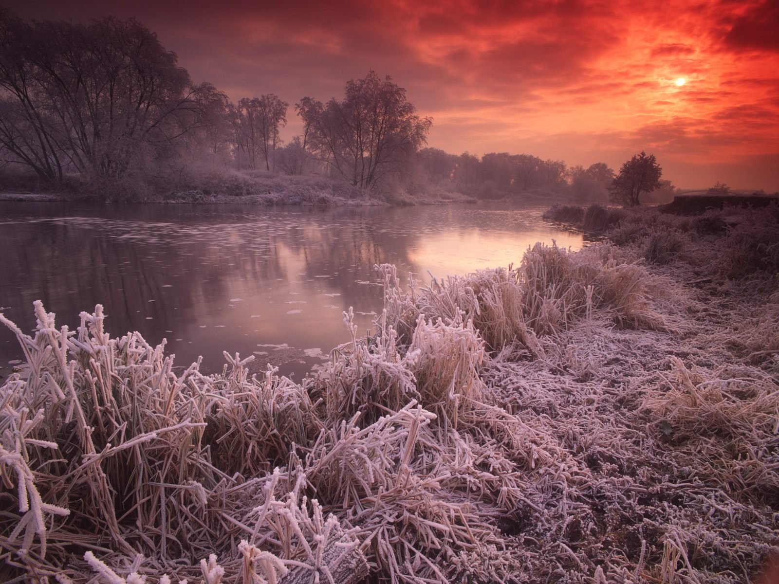 nature Wallpaper