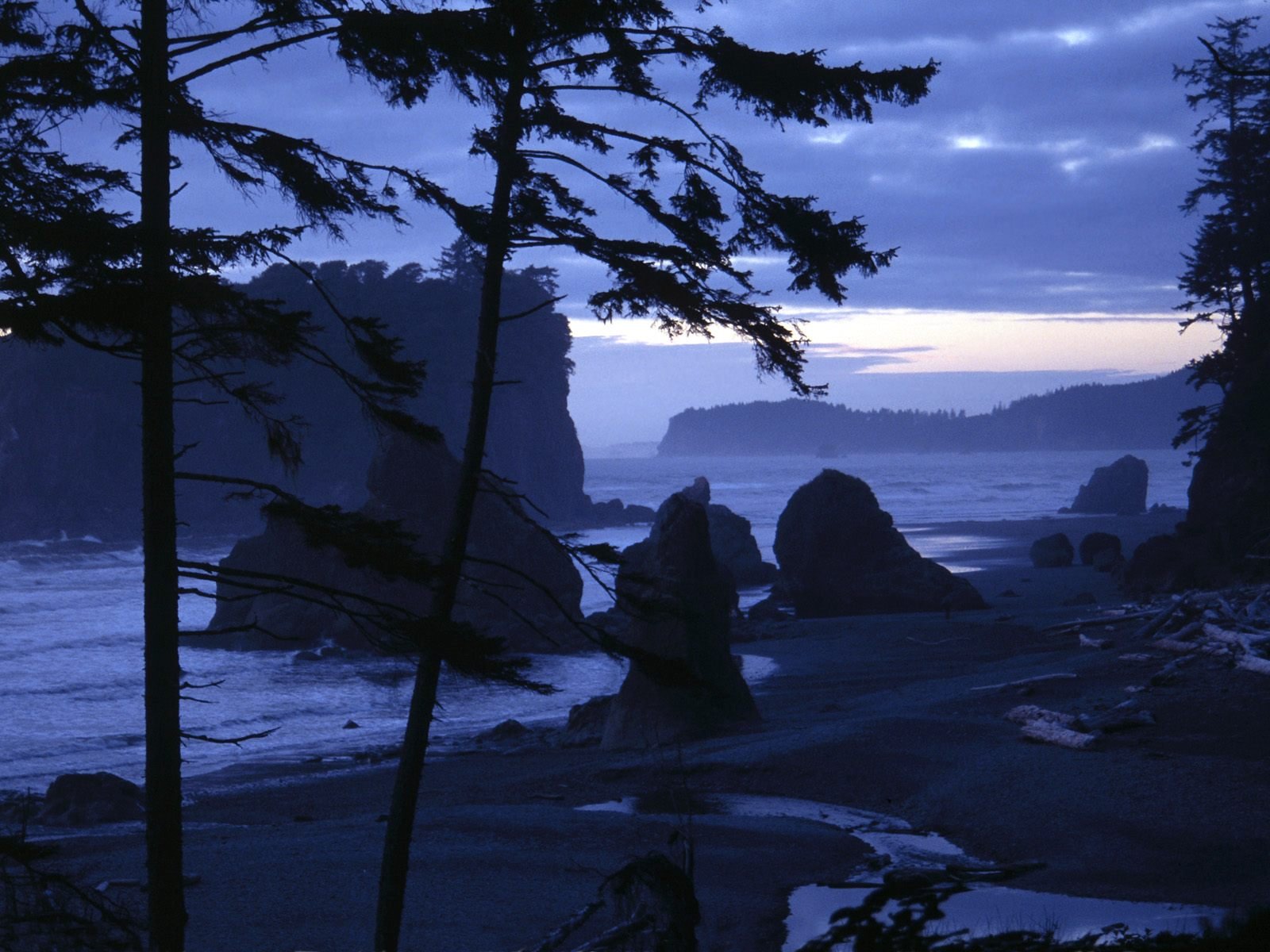 nature Wallpaper